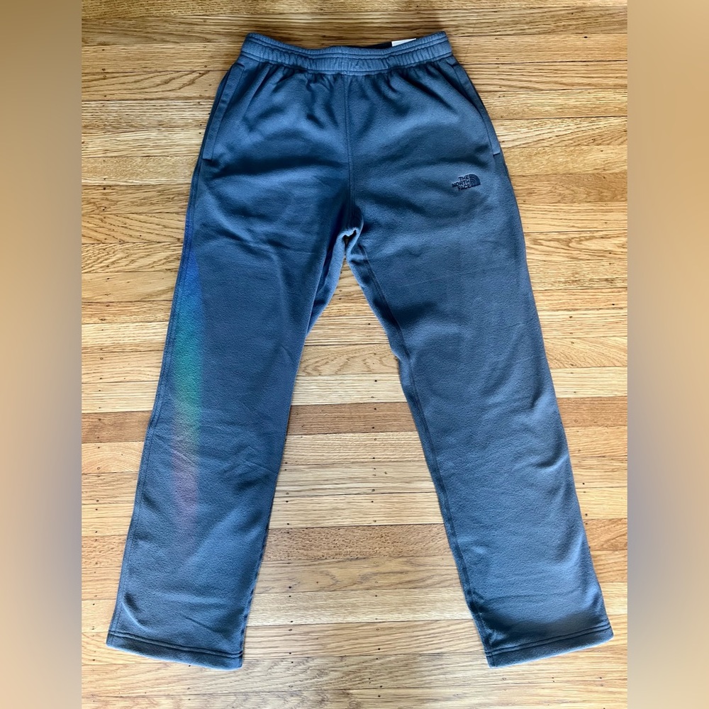 NWT THE NORTH FACE GLACIER ASPHALT GREY PANT